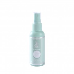 Make Up Setting Spray Pistachio